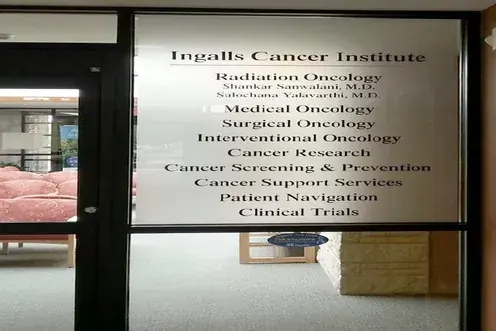 Window Film customer work by Tennessee Sign Company